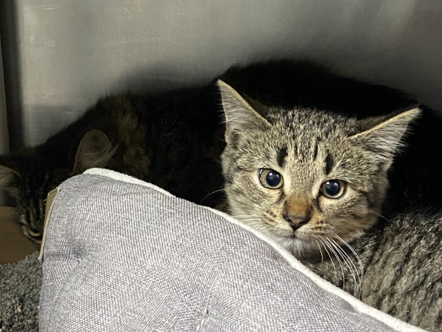 Agency Photo  (211255)