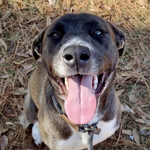 Agency Photo  (211250)