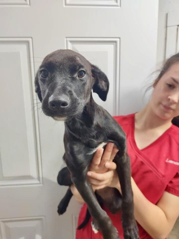 Agency Photo  (211258)