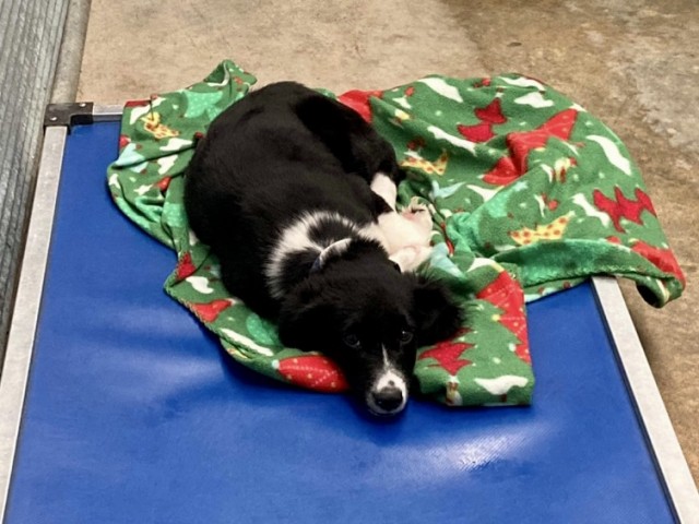 Agency Photo  (211251)