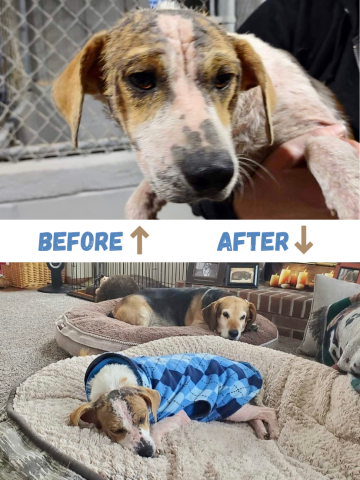 Agency Photo  (211254)