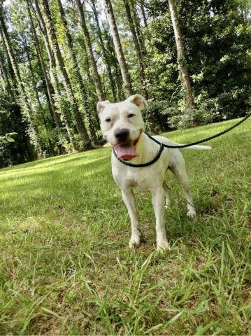 Agency Photo  (211252)