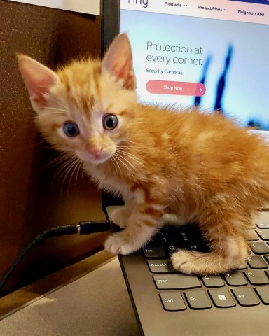 Agency Photo  (211260)