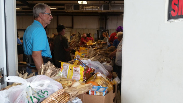 Agency Photo  (127063)