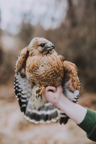 Program Photo  (143454)