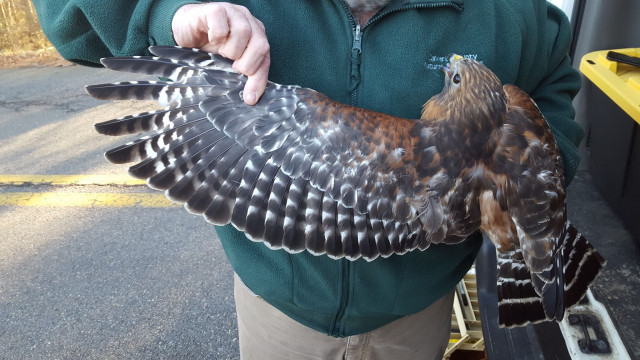 Program Photo  (143453)