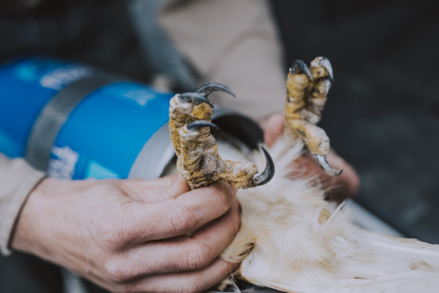 Program Photo  (143455)