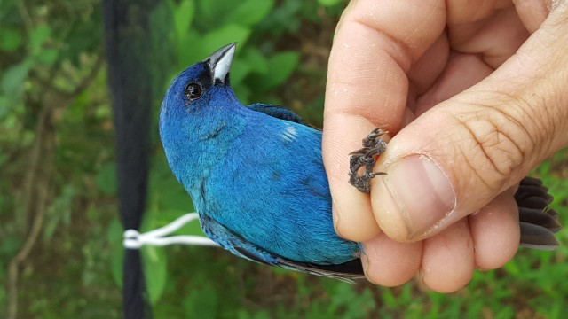 Program Photo  (208310)