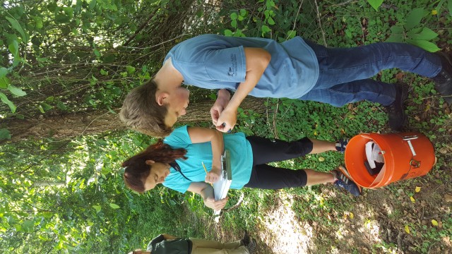 Program Photo  (208311)