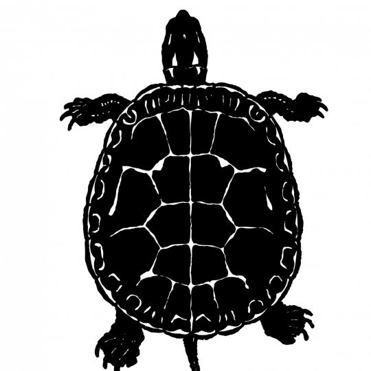 Program Logo