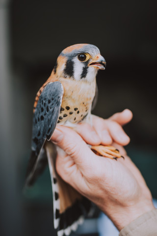 Program Photo  (136428)