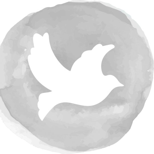 Partner Agency Logo