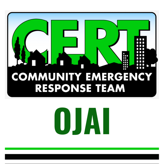Program Logo