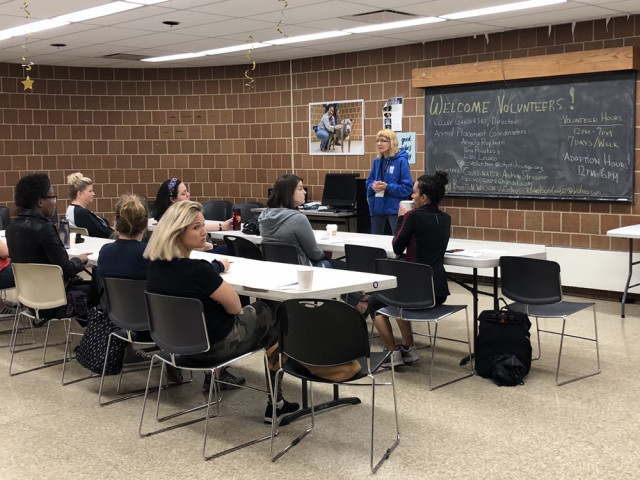 Program Photo  (137405)