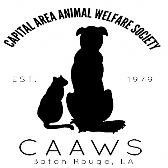 Agency Logo