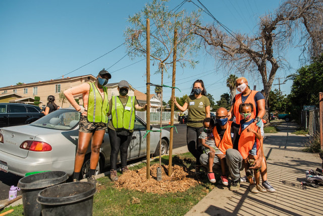 Community Partner Photo  (177149)