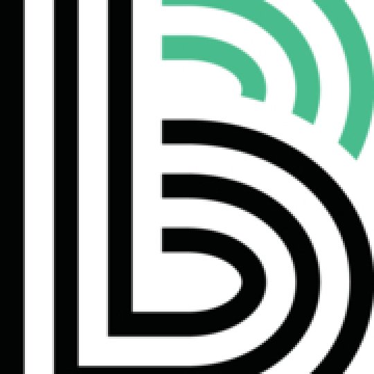 Community Partner Logo