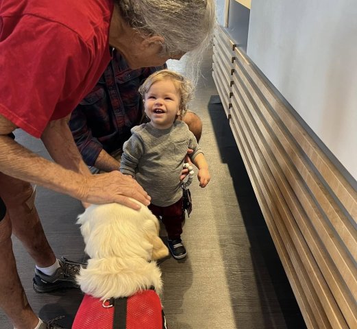 Network Photo  (249842)