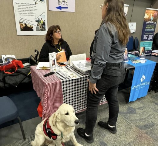 Network Photo  (249838)