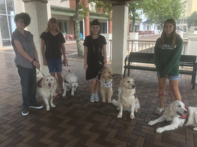 Network Photo  (175472)