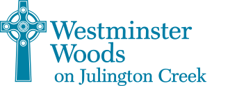 Network Logo