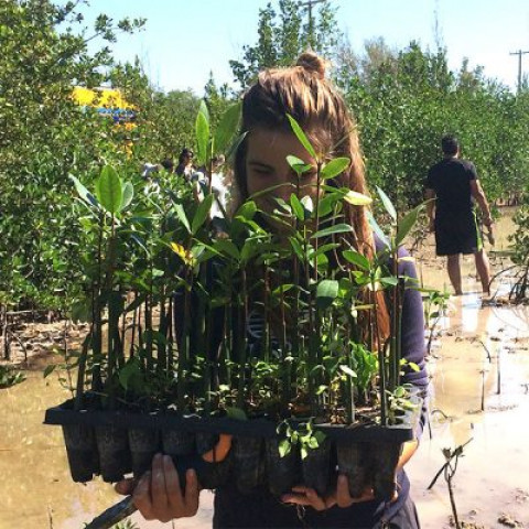 Agency Photo  (146917)