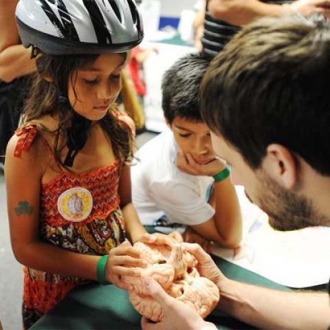 Agency Photo  (146919)