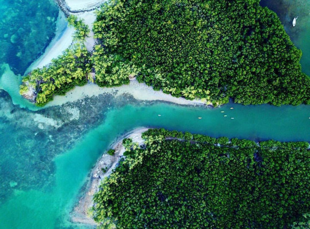 Agency Photo  (171923)