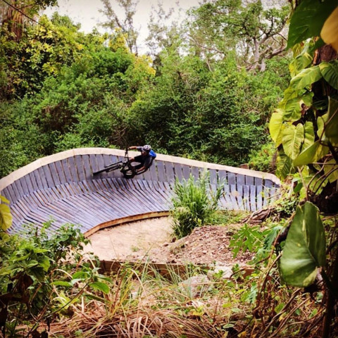 Agency Photo  (171932)