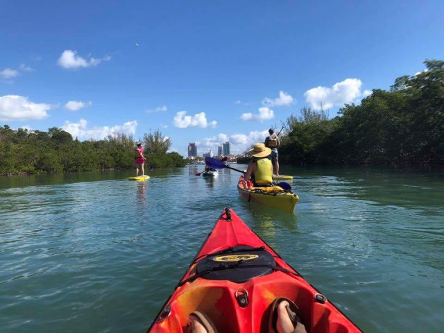 Agency Photo  (171918)