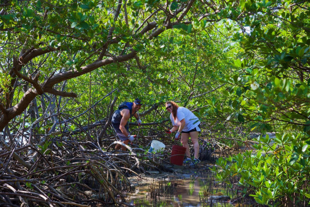 Agency Photo  (171924)