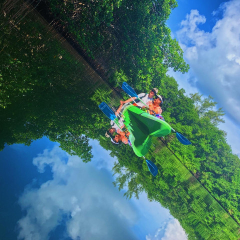 Agency Photo  (171920)