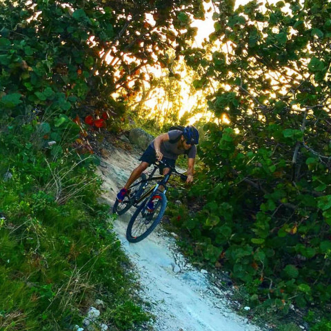 Agency Photo  (171930)