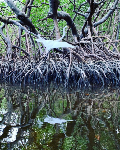 Agency Photo  (171922)