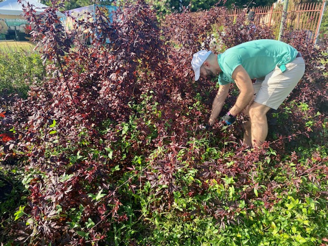 Agency Photo  (182763)