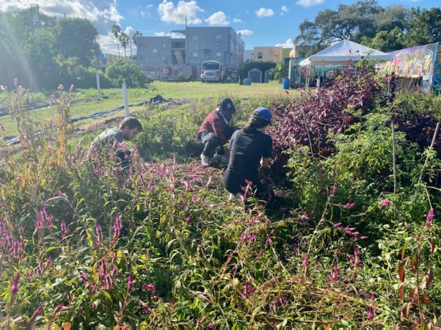 Agency Photo  (182764)