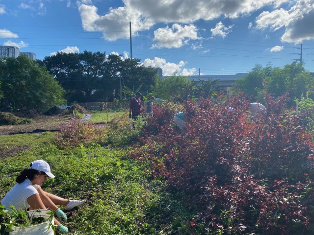 Agency Photo  (182765)