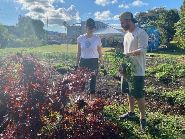 Agency Photo  (182766)