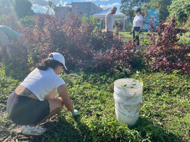 Agency Photo  (182767)