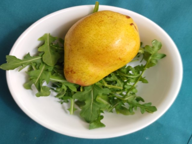 Agency Photo  (194627)