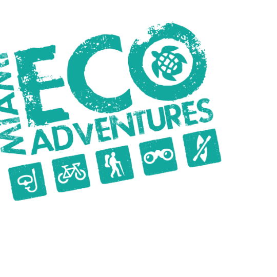 Agency Logo