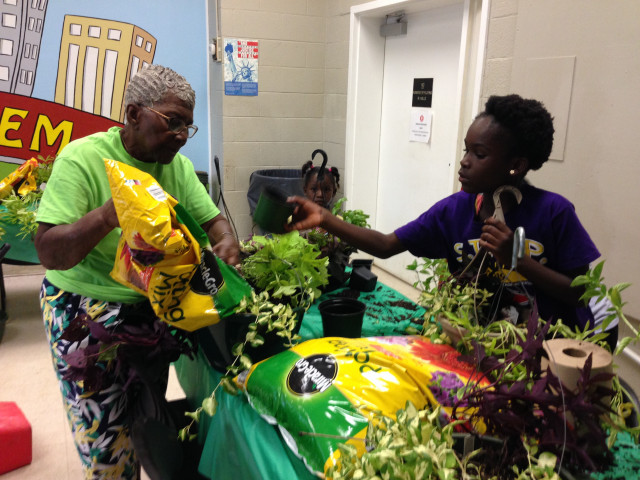 Agency Photo  (153980)