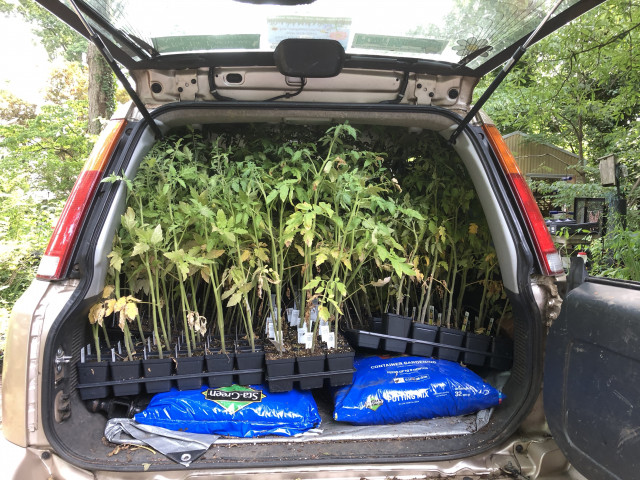 Agency Photo  (153973)