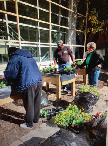 Agency Photo  (153976)