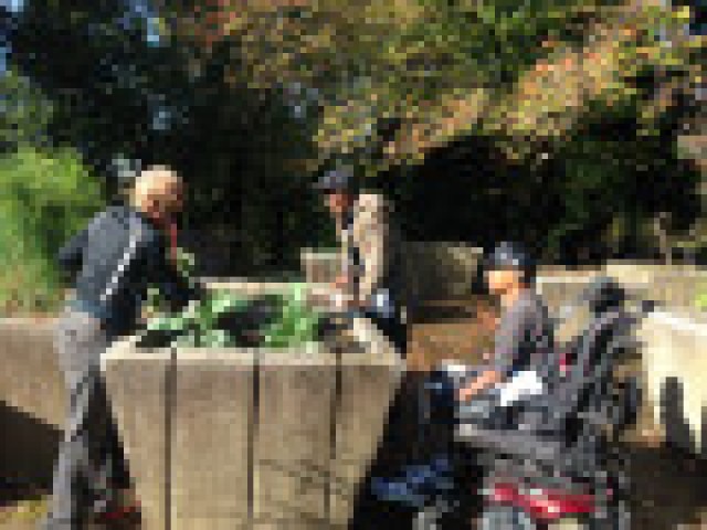 Agency Photo  (190286)