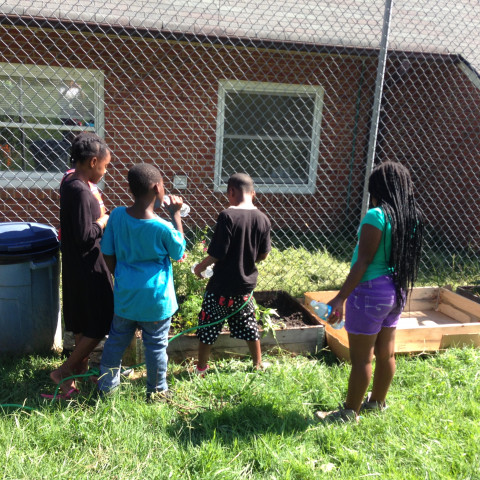 Agency Photo  (153969)