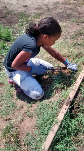 Agency Photo  (153968)