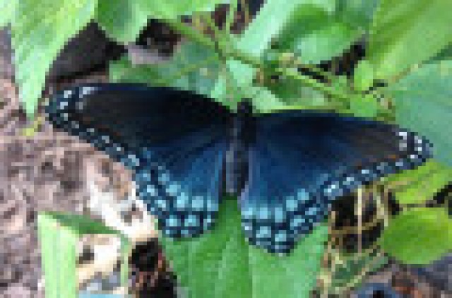 Agency Photo  (190283)