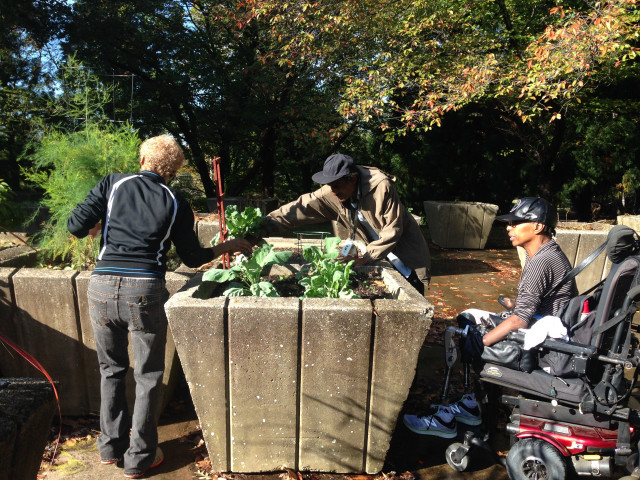 Agency Photo  (153983)