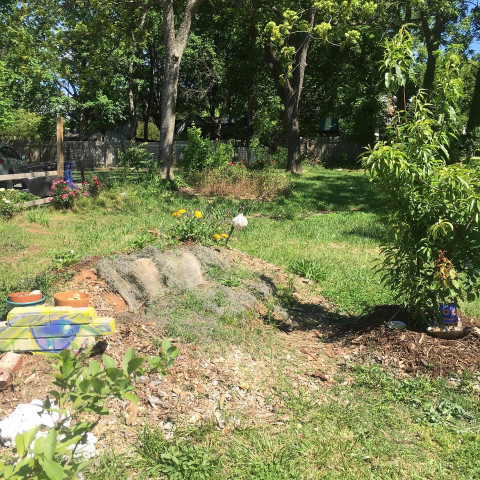 Organization Photo  (159955)